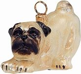 Pug Crouching in Play